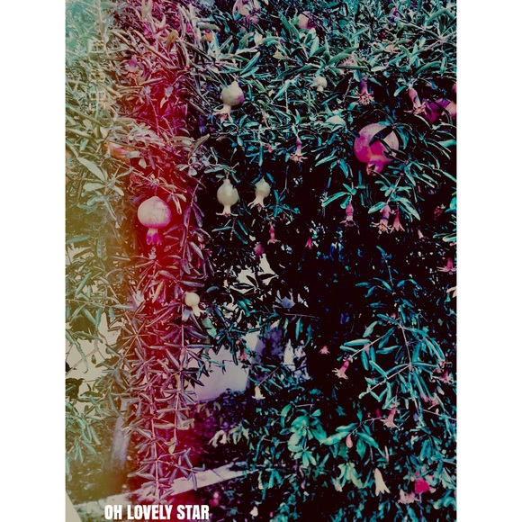 Lovely Star * Photography Art Print Wall Decal - Picture 2 of 5